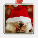 Search for bichon christmas tree decorations Animal