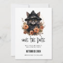 Search for cat save the dates Halloween