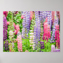 Search for beautiful garden posters Green