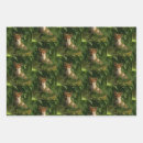 Search for baby fox wrapping paper Woodland