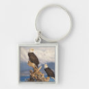 Search for homer key rings Raptor