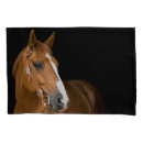 Search for white horse pillowcases Black