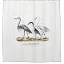 Search for heron shower curtains Wildlife