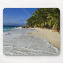 Search for palm beach electronics Outdoor