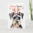 Search for miniature schnauzer dog cards Dogs