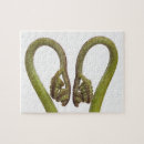 Search for cutout puzzles Plants