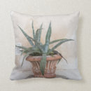 Search for succulent cushions Terracotta