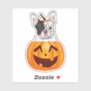 Search for dog costume stickers Pumpkin