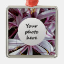 Search for lily christmas tree decorations Flower