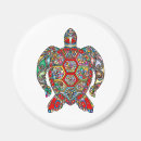 Search for turtled magnets Background