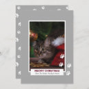 Search for cat pun christmas cards Modern