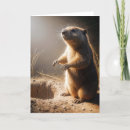 Search for groundhog day Hole