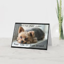 Search for yorkie pet memorials Sympathy