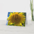 Search for sunflower birthday cards Friend