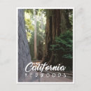 Search for redwood city Cali