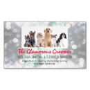 Search for bathtub magnets Dog