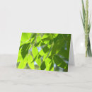 Search for under the tree cards Leaves