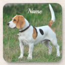 Search for beagle coasters Puppies