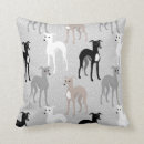 Search for greyhound cushions Whippet