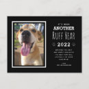 Search for black dog christmas cards Humour