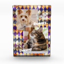 Search for glass photo blocks Colourful