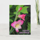 Search for gladiolas cards Garden