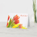 Search for tulips thank you cards Beautiful