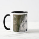 Search for landfall mugs Landmass