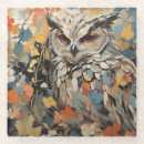 Search for owls coasters Colorful