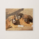 Search for boxer puzzles Pups