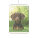 Search for dachshund car air fresheners Pet