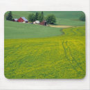 Search for released mousepads Field