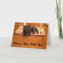 Search for touch cards Kitten