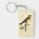 Search for avian rectangular key rings Bird