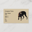 Search for chocolate lab business cards Dog