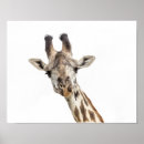Search for game park art Giraffe