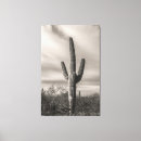Search for saguaro art Nature