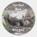 Search for rhino stickers Zoo