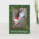 Search for spaniel christmas cards Cute