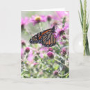 Search for pollen cards Butterfly