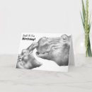 Search for hippo birthday cards Baby