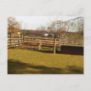 Search for baaa Farm