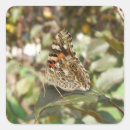 Search for beautiful butterflies stickers Flower