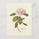 Search for vintage botanical postcards Elegant
