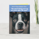 Search for boston terrier birthday cards Funny