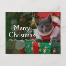 Search for russian blue cat postcards Cute