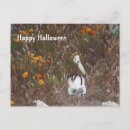 Search for fake postcards Halloween