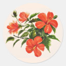 Search for red hibiscus stickers Blossom