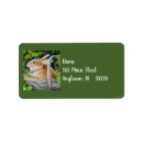 Search for rabbit return address labels Merry christmas