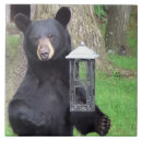 Search for black bear tiles Animal